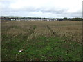 Farmland near Arbroath