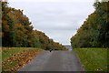 Road at Thriepley, near Auchterhouse