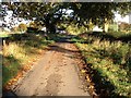 Minor road near Kirkbank