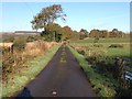 Minor road near Kerse