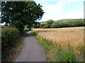 Path alongside Station Road, Flax Bourton