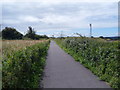 Festival Way near Flax Bourton