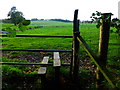 Field path going west from West Chiltington