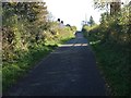 Minor road near Smallholm Farm