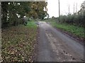 Minor road at Brackenhill Tower