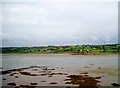 View east across Oldmill Bay towards Island Magee