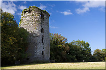 W8299 : Castles of Munster: Carrigabrick, Cork (1) by Mike Searle
