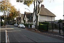 TA1130 : Beech Avenue, Garden Village, Hull by Ian S