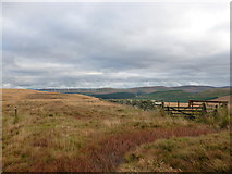 NS9209 : Southern Upland Way, Laght Hill by Alan O'Dowd