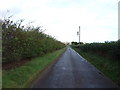 Heading north on National Cycle Route 1 