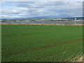 Farmland towards the Montrose Basin