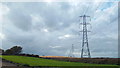 TR0863 : Electricity pylons, Seasalter Level by Malc McDonald