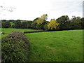 Grazing fields and woodland