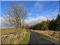 The road to Fingland