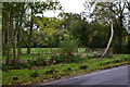 View across Pound Lane, Burley