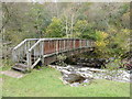 Wooden footbridge over the Taf Fechan