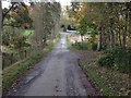 Road near Allangrange Mains