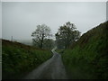 Country Road near Llwyn-dyrys