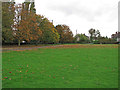 Autumn Colours, Bannister Green