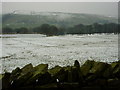 Pinner Lane to Reeds Holme