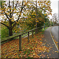 SE6278 : Autumn in Oswaldkirk by Pauline E