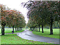 Bellahouston Park