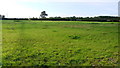 Footpath across flat fields