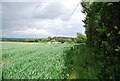 Footpath along the field edge