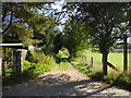 Farm Track/Path to Lower Gamesley