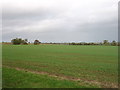 SP5667 : Farmland near Ashby St Ledgers by David Purchase