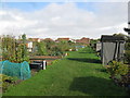 Bournemouth East Allotment