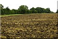 SP6108 : Ploughed field by Park Farm by Steve Daniels