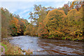 Allan Water in Autumn