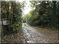 Footpath to Curlew Green