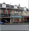 Stripy Dog under scaffolding, Westbury-on-Trym