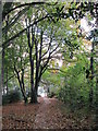 Path through The Waste recreation ground, Leek