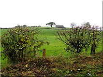 H3374 : Carony Townland by Kenneth  Allen