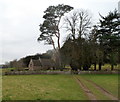 Trees at the northern edge of the churchyard, St Brides Netherwent