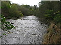 White Cart Water