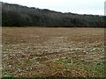 ST4289 : Stubble field in late winter, St Brides Netherwent by Jaggery