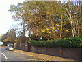 Trees by Middle Road, Harrow on the Hill