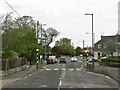 TR1366 : Chestfield, St John's Road, Pedestrian Crossing by David Dixon