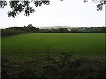 SO3644 : Farmland near Monnington by David Purchase