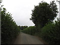 The lane to Bishopstone