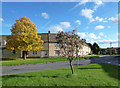 Trees and Houses, Cassington