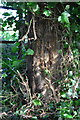 Gatepost at entrance to former allotments from lane to Mill