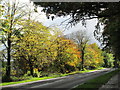 Autumn colours on the A53 near Leek