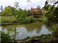 Pond by The Hatch