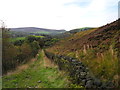 Hillside track to Sandy Lane from Lark Hill