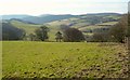 Field above Woodhouse Cross